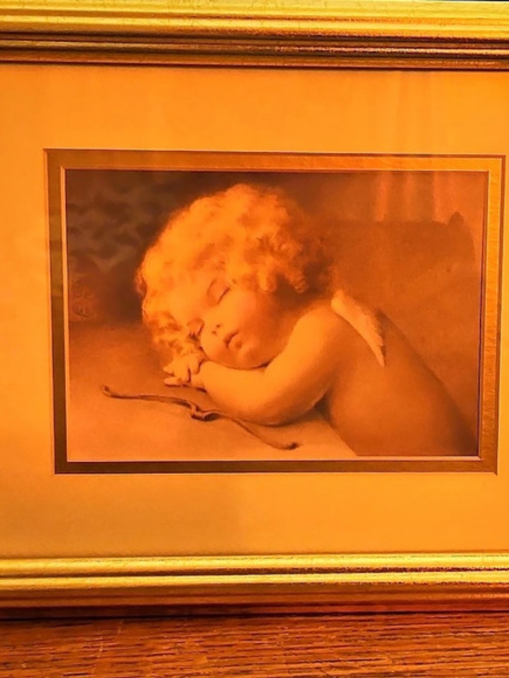 Home & Garden Party Sleeping Cherub Framed Art Brown & Gold